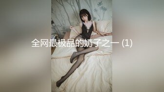 全网最极品的奶子之一 (1)