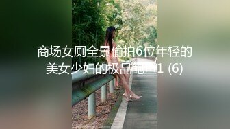 商场女厕全景偷拍6位年轻的美女少妇的极品鲍鱼1 (6)