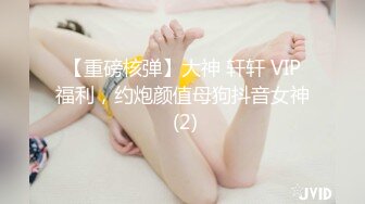 【重磅核弹】大神 轩轩 VIP福利，约炮颜值母狗抖音女神 (2)