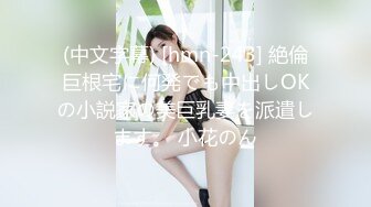 (中文字幕) [hmn-243] 絶倫巨根宅に何発でも中出しOKの小説家の美巨乳妻を派遣します。 小花のん