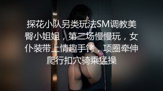 探花小队另类玩法SM调教美臀小姐姐，第二场慢慢玩，女仆装带上情趣手铐，项圈牵伸爬行扣穴骑乘猛操