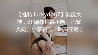 【推特 luckydog7】泡良大神，3P调教艳遇不断，肥臀大奶、小家碧玉，叫声淫荡 (1)