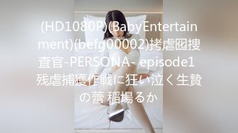 (HD1080P)(BabyEntertainment)(befg00002)拷虐囮捜査官-PERSONA- episode1 残虐捕獲作戦に狂い泣く生贄の蕾 稲場るか