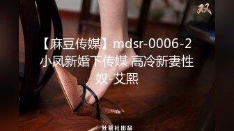 【麻豆传媒】mdsr-0006-2 小凤新婚下传媒 高冷新妻性奴-艾熙