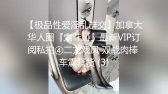 【极品性爱淫乱群交】加拿大华人圈『索菲娅』最新VIP订阅私拍④二龙戏凤 双战肉棒 车震骚货 (3)