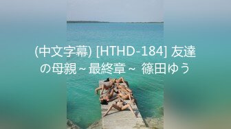 (中文字幕) [HTHD-184] 友達の母親～最終章～ 篠田ゆう