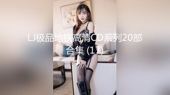 LJ极品地铁高清CD系列20部合集 (17)