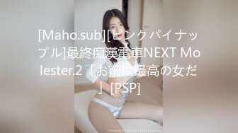 [Maho.sub][ピンクパイナップル]最終痴漢電車NEXT Molester.2「お前は最高の女だ」[PSP]