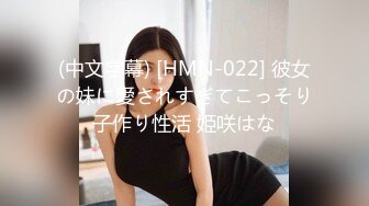 (中文字幕) [HMN-022] 彼女の妹に愛されすぎてこっそり子作り性活 姫咲はな