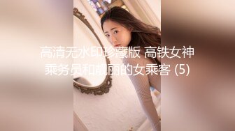 高清无水印珍藏版 高铁女神乘务员和靓丽的女乘客 (5)