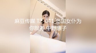 麻豆传媒 TZ-041 岛国女仆为你服务 中野惠子