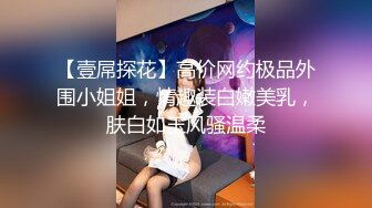 【壹屌探花】高价网约极品外围小姐姐，情趣装白嫩美乳，肤白如玉风骚温柔