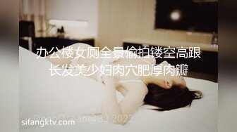 办公楼女厕全景偷拍镂空高跟长发美少妇肉穴肥厚肉瓣