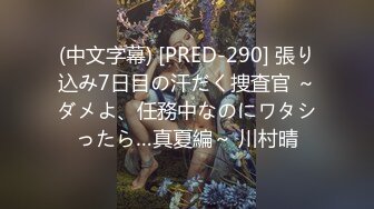 (中文字幕) [PRED-290] 張り込み7日目の汗だく捜査官 ～ダメよ、任務中なのにワタシったら…真夏編～ 川村晴