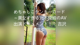 めちゃしこヤンキーロード ～美女すぎる元不良娘のAV出演ドキュメント！～ 吉沢明歩