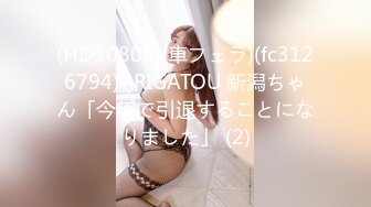 (HD1080P)(車フェラ)(fc3126794)ARIGATOU 新潟ちゃん「今年で引退することになりました」 (2)