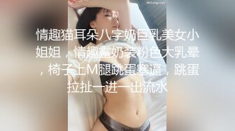 情趣猫耳朵八字奶巨乳美女小姐姐，情趣露奶装粉色大乳晕，椅子上M腿跳蛋塞逼，跳蛋拉扯一进一出流水