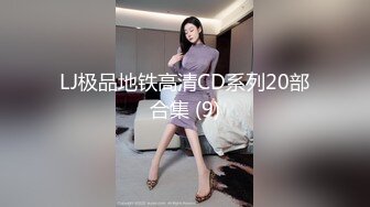 LJ极品地铁高清CD系列20部合集 (9)