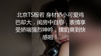 推特网红高颜值小黄毛资源整理